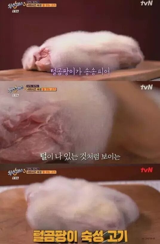 곰팡이로 숙성시킨 고기_1.jpg