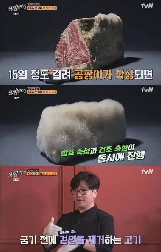 곰팡이로 숙성시킨 고기_5.jpg