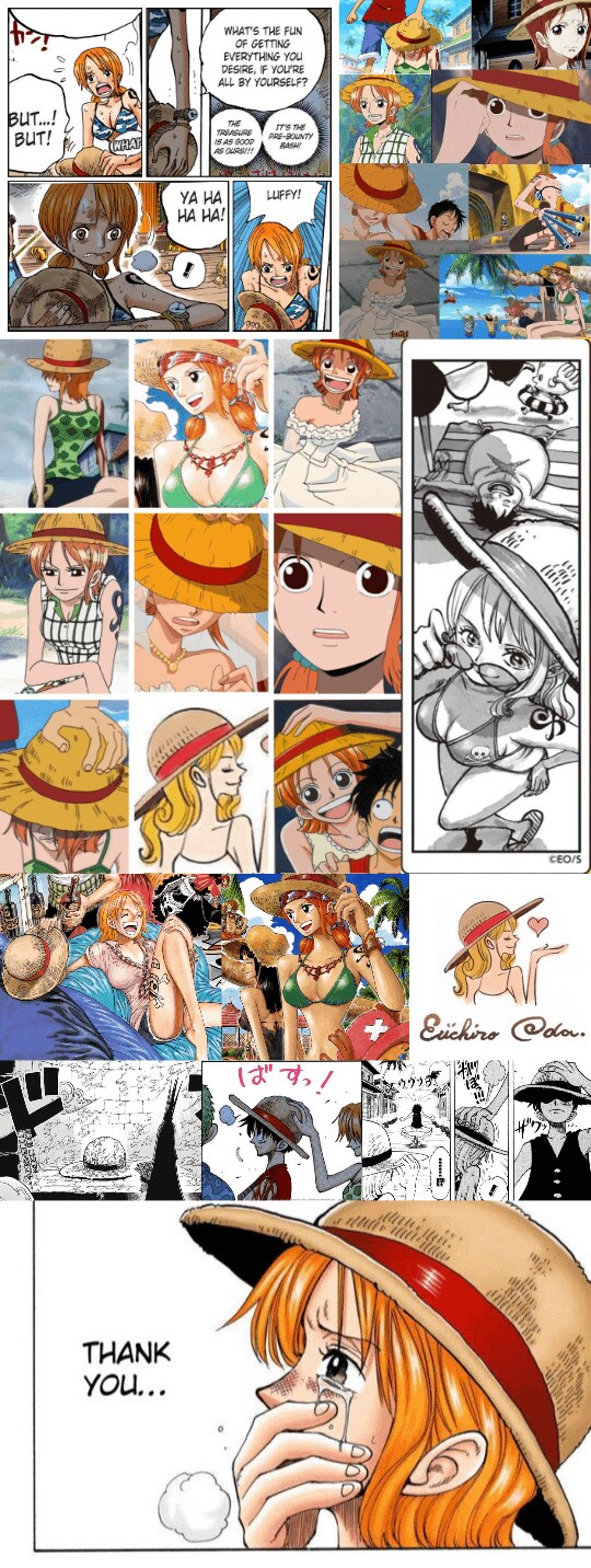 원피스) 루피x나미 커플링 미는 사람들이 제일 좋아한다는거_3.png