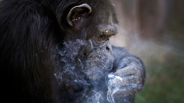 DC) 몇몇 디씨팬들이 심하게 아파하는 말_4.jpg