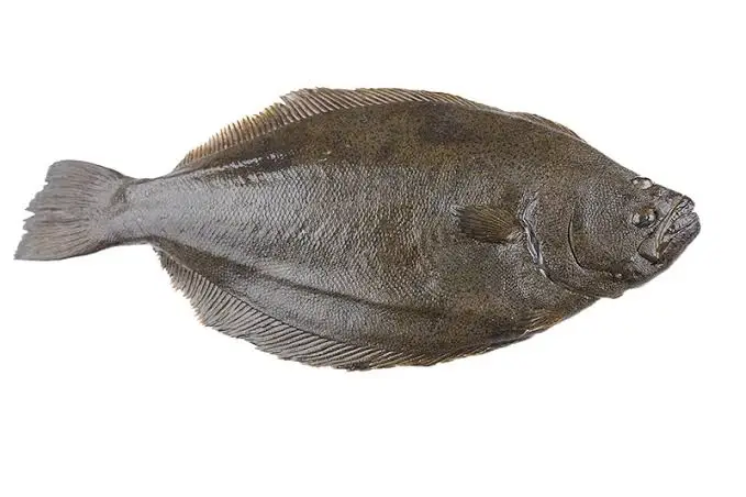 살수율 GOAT급이라서 맛있는 생선들_1.webp