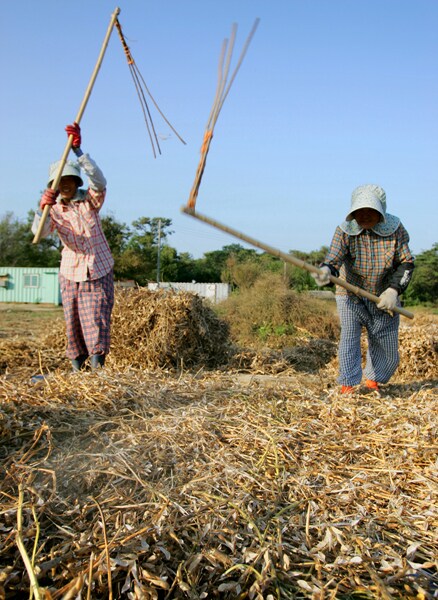 활협전) 작중 나오는 삽의 정체_7.png
