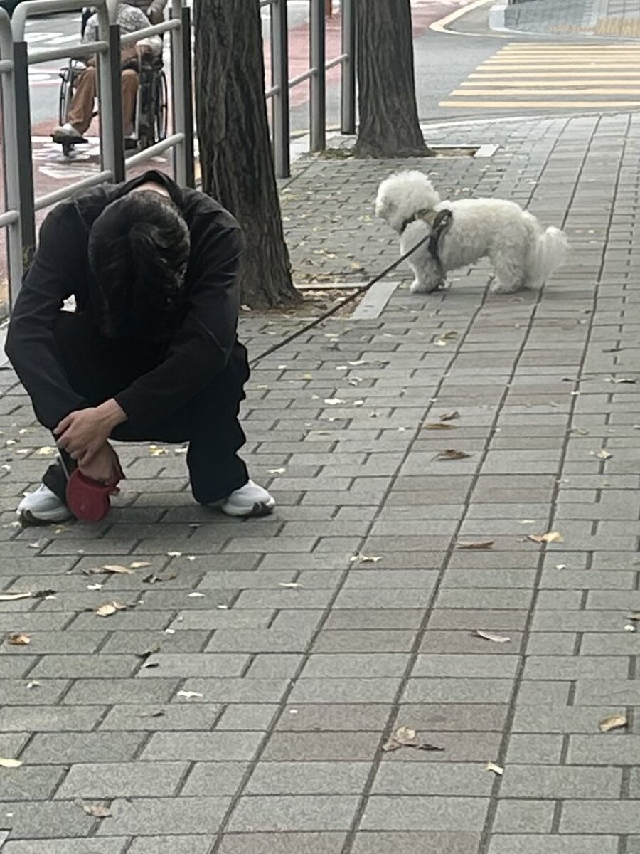 말 안 듣는 개 때문에 길 한복판에서 좌절힌 주인_1.jpg