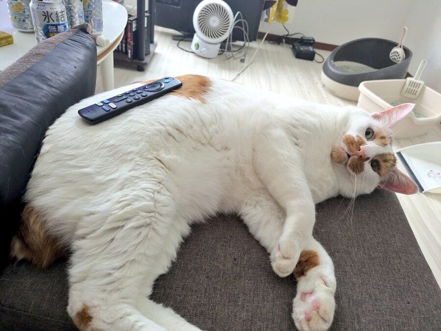 리모콘 거치대.jpg_1.jpg