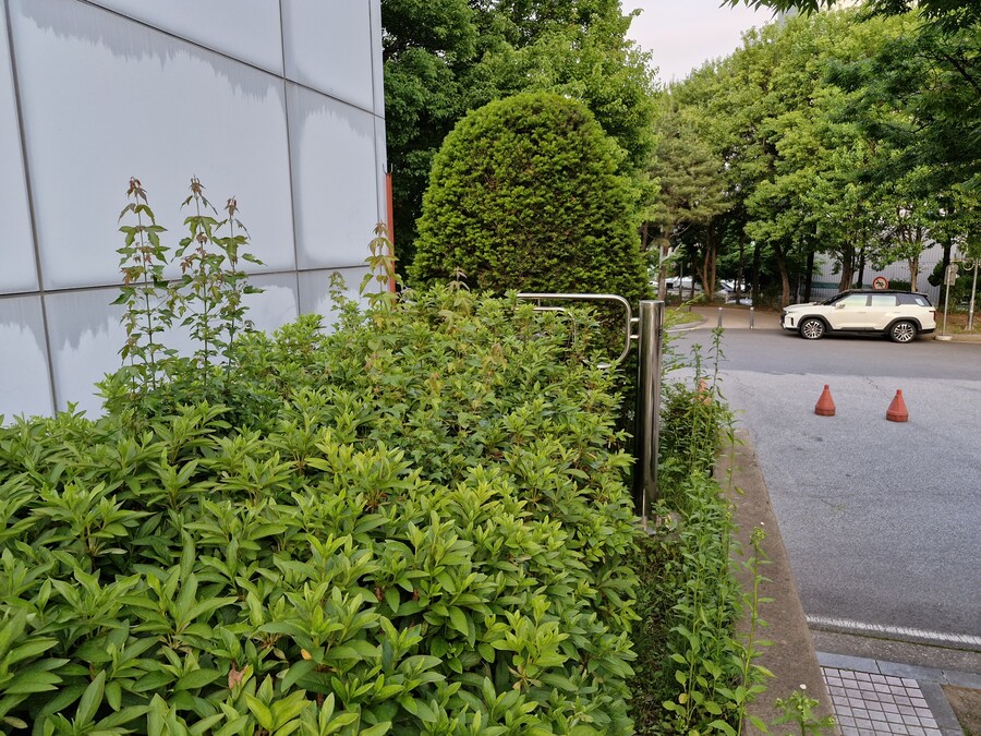 기상천외한 캣맘들 급식소 위치_2.jpg