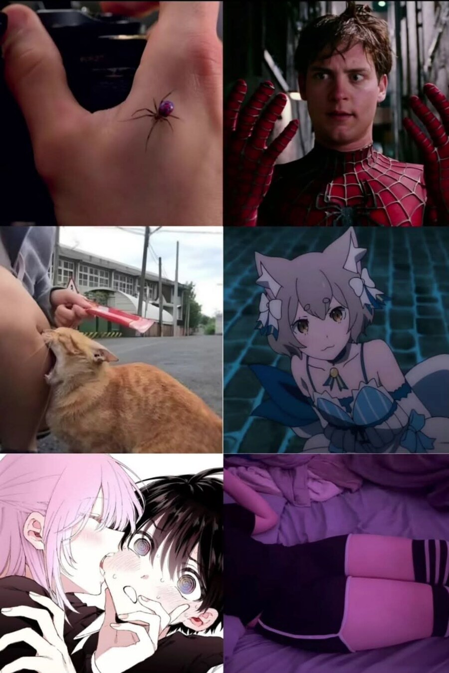 거미한테 물림 = 스파이더맨_1.jpg