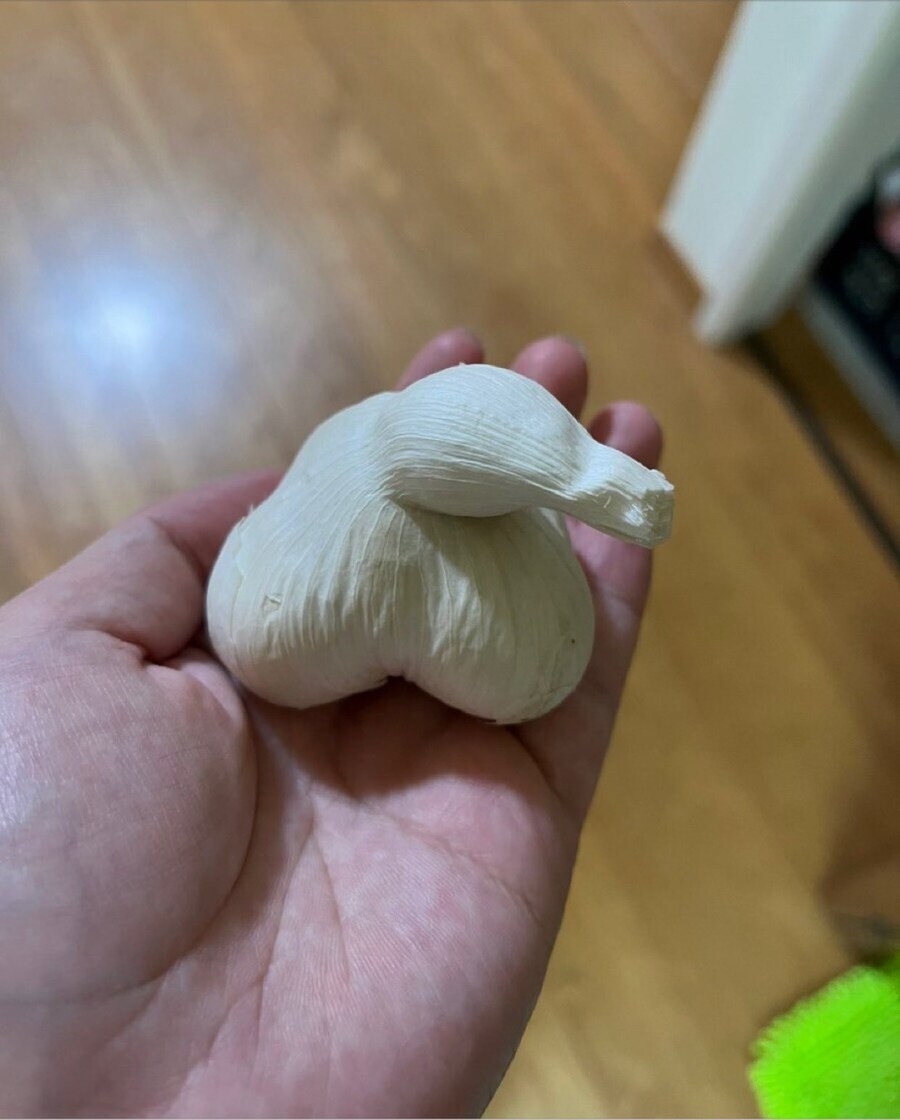 어마어마한 크기의 생마늘_1.jpg