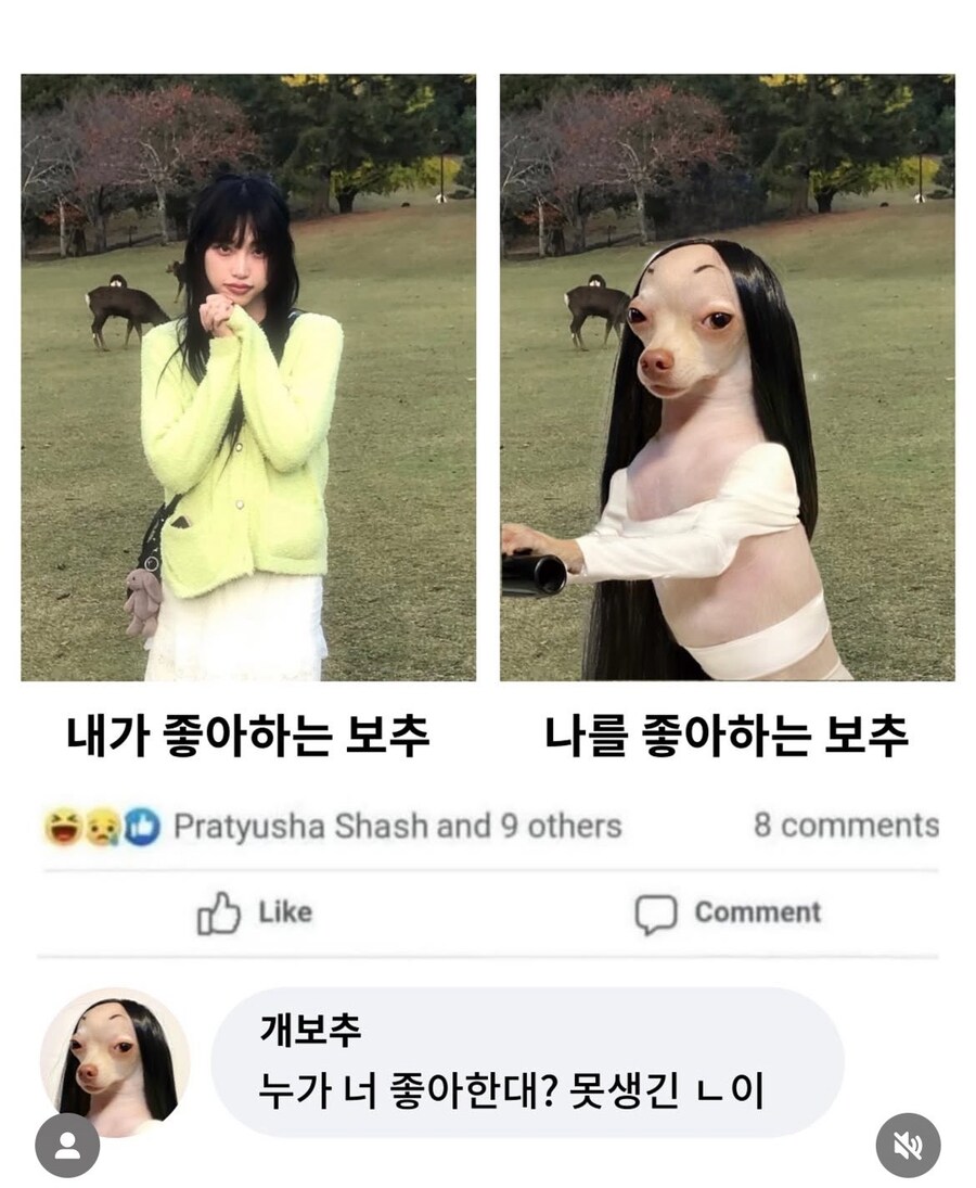 보추에 환상을 가졌지만_1.jpg