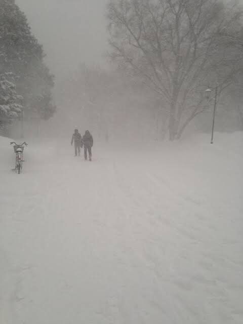 겨울 홋카이도 대학 이상과 현실.jpg_3.jpg