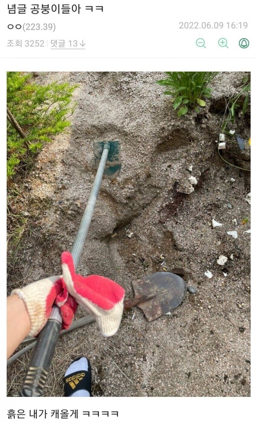 근무시간에 대놓고 게임하는 공익등_3.jpg