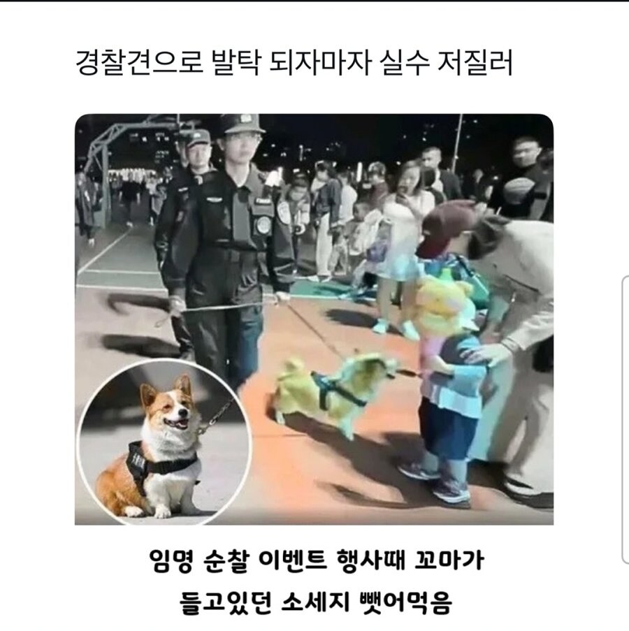 공무원 되자마자 대형사고_1.jpg
