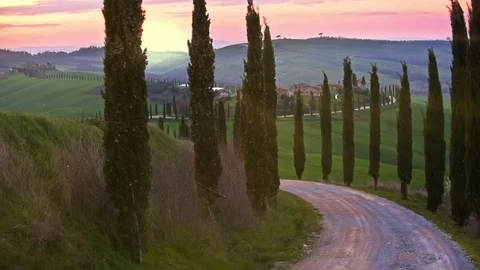 유럽 부자동네에 많은 나무_1.webp