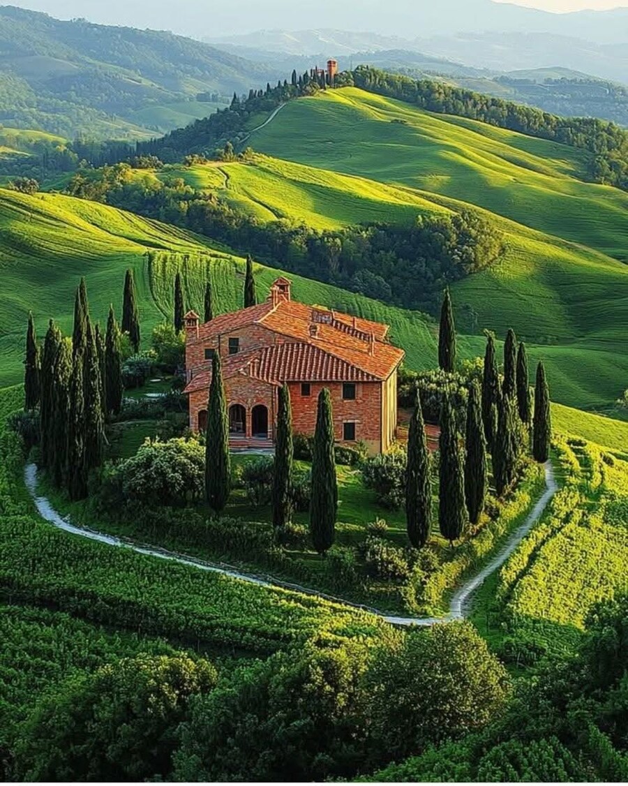 유럽 부자동네에 많은 나무_2.jpg