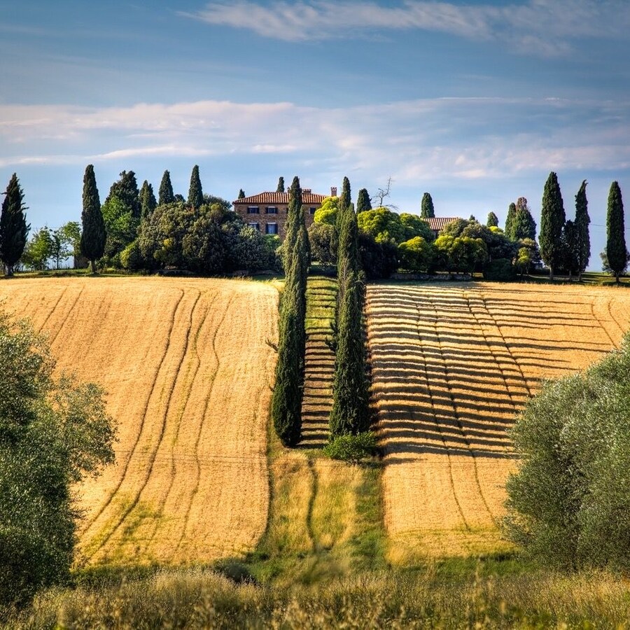 유럽 부자동네에 많은 나무_3.jpg