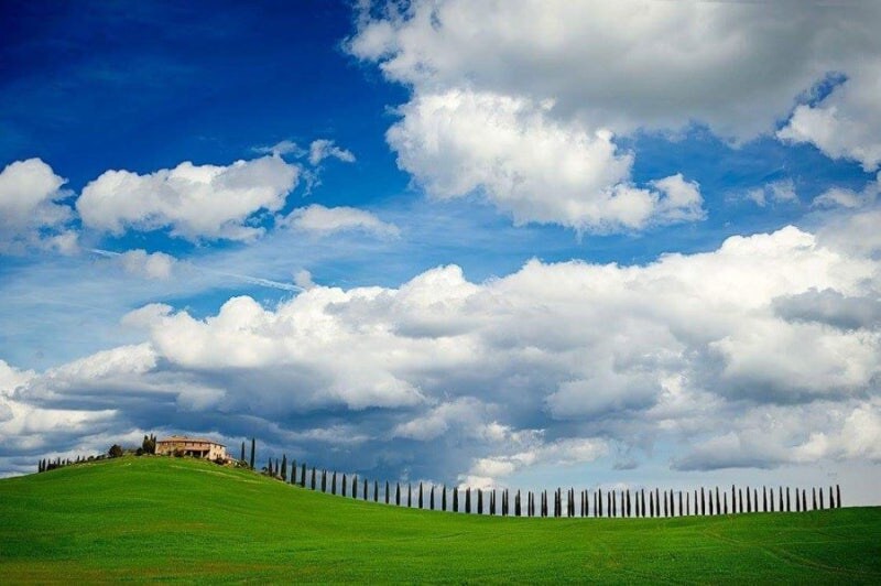 유럽 부자동네에 많은 나무_6.jpg