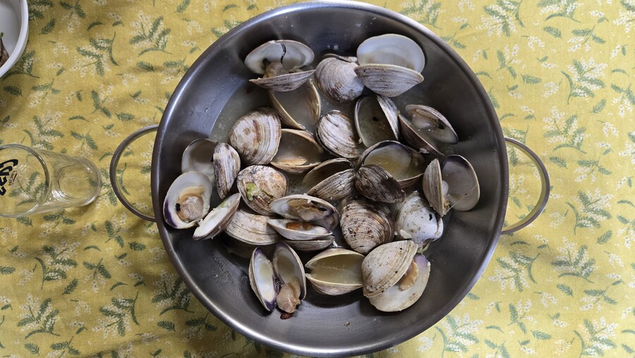 야옹이랑 낮술 한잔함_2.jpg