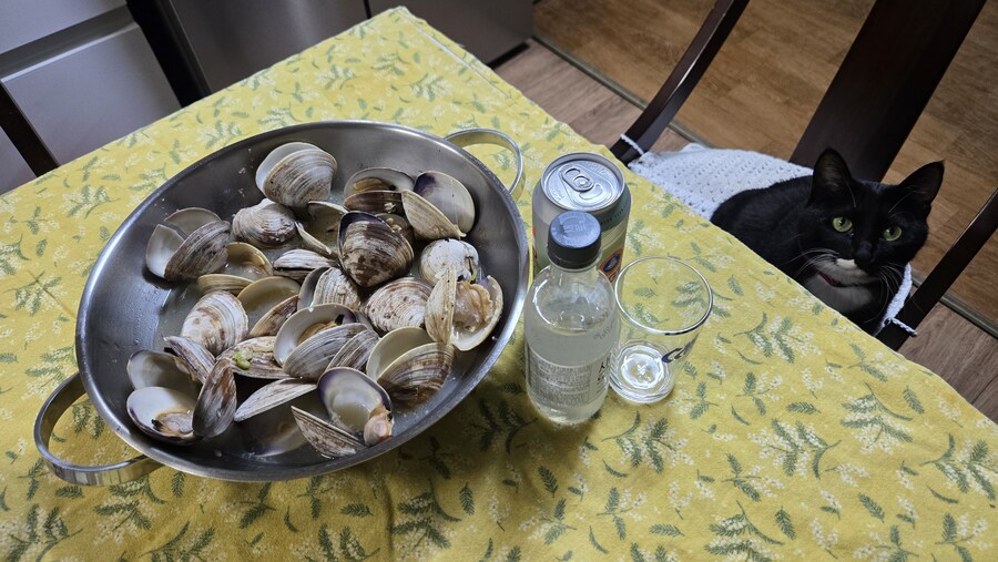야옹이랑 낮술 한잔함_3.jpg