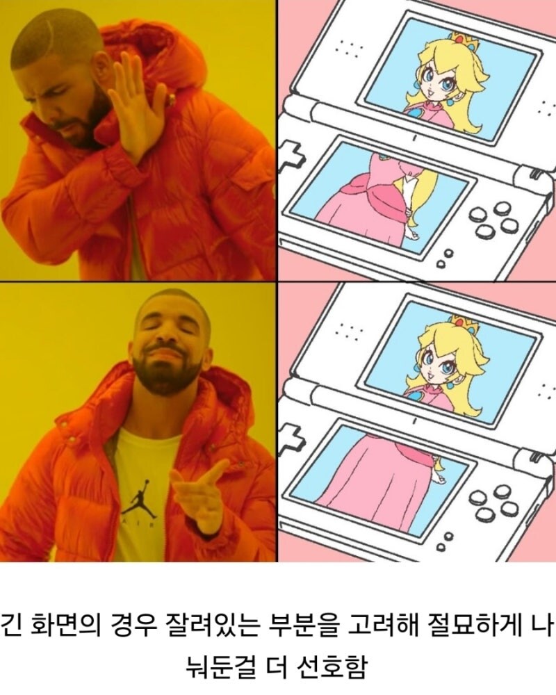 닌텐도 DS 유저들의 이상한 취향.JPG_1.jpg