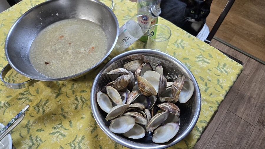 야옹이랑 낮술 한잔함_10.jpg