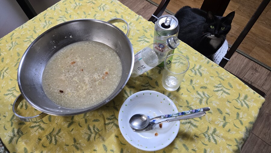 야옹이랑 낮술 한잔함_11.jpg