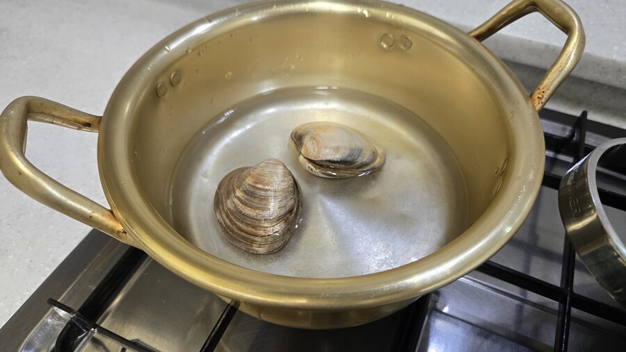 야옹이랑 낮술 한잔함_12.jpg