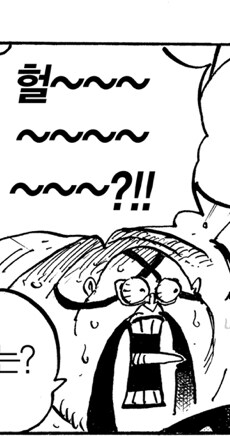 원피스 사실 본편에서 풀기엔 애매했던 떡밥_4.jpg