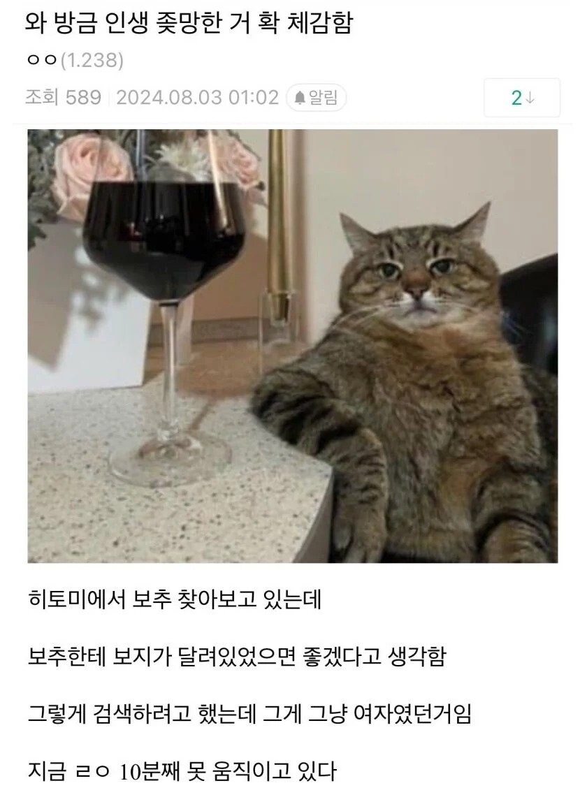 인생이 망한걸 체감한 디시인_1.png