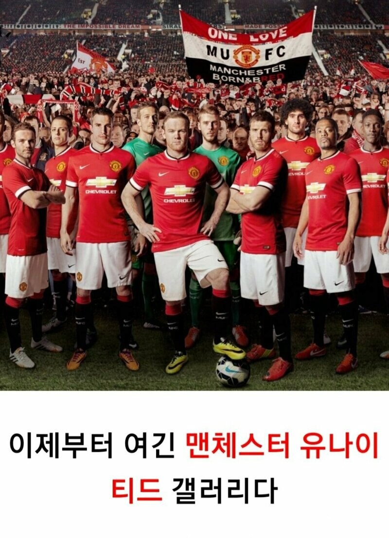 시발 여기가 카제나 갤러리냐?_1.png