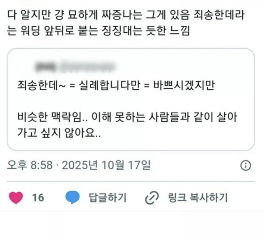 예의를 차리는 쿠션어를 이해못하는 사람들_4.png
