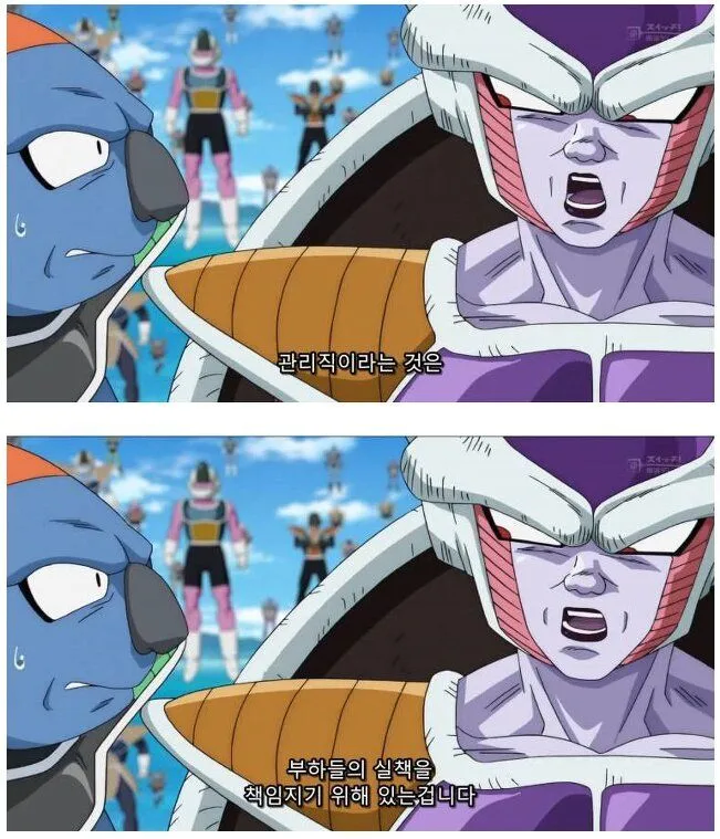 카제나) 스마게 실드 or 불쌍하다는 의견이 대체 왜 나오는 거지?_1.webp