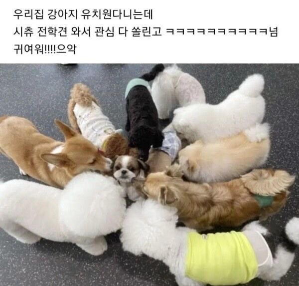 인싸들 한복판에 떨어진 아싸_1.jpg