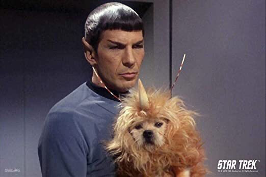 CG 없던 시절 외계 생물_2.jpg