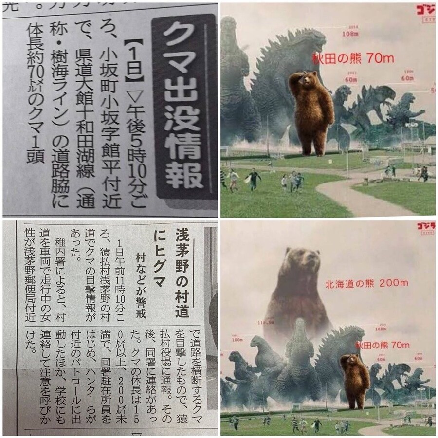 아키타 곰: 70미터, 홋카이도 곰: 200미터.jpg_1.jpg