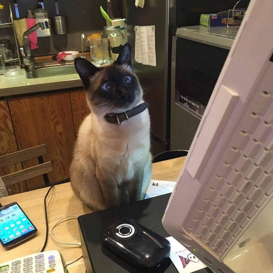 하루 매출을 보고 놀란 카페 사장님.jpg_2.jpg