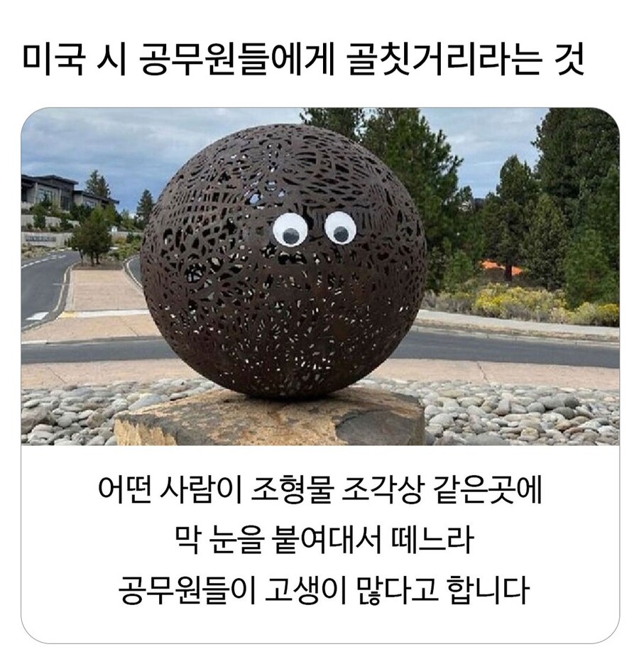 미국 공무원들에게 골칫거리라는 것.jpg_1.jpg