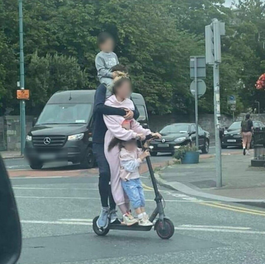 역대급 킥라니 등장_1.jpg