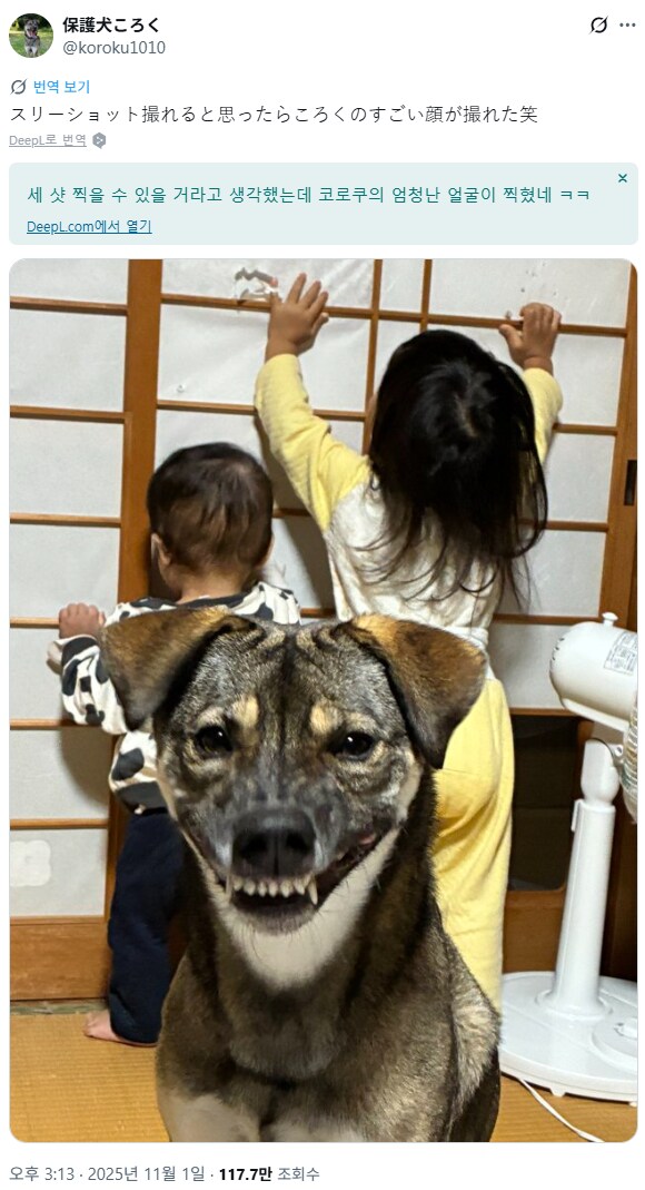 두 아이와 애완견 사진을 찍으려다 실패한 사진_1.png