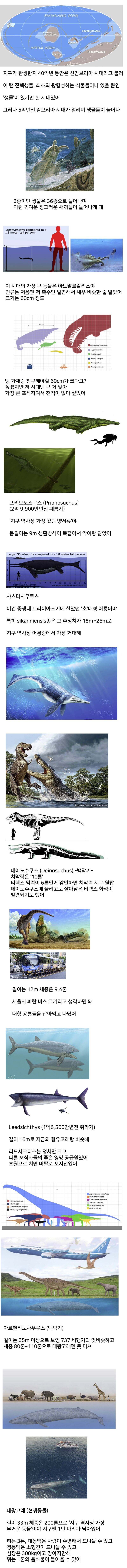 지구 역사상 가장 큰 동물_1.jpg
