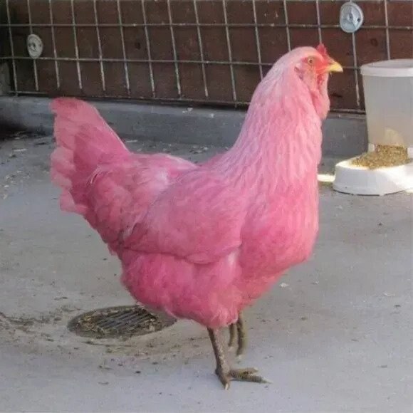 진짜 핑계 지리긴하네ㅋㅋㅋㅋ_1.png