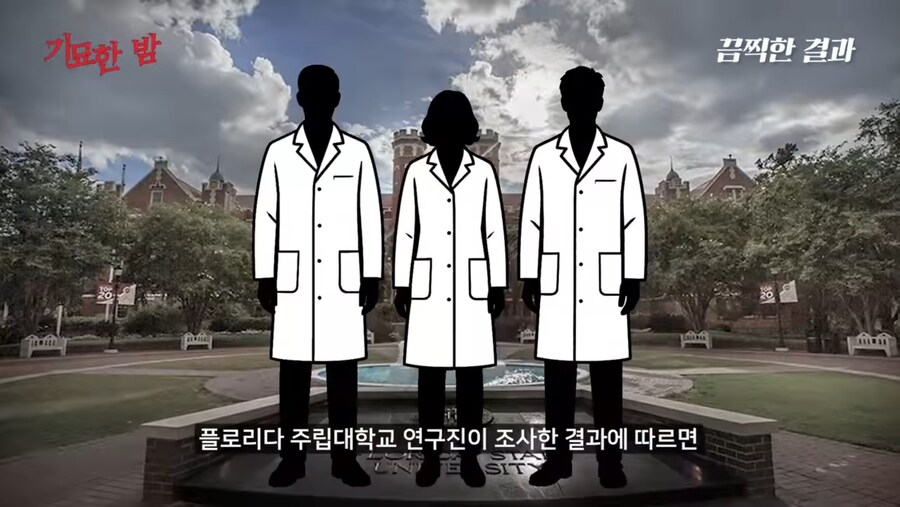 전세계인의 지능을 떨어뜨렸다는 물건_3.jpg