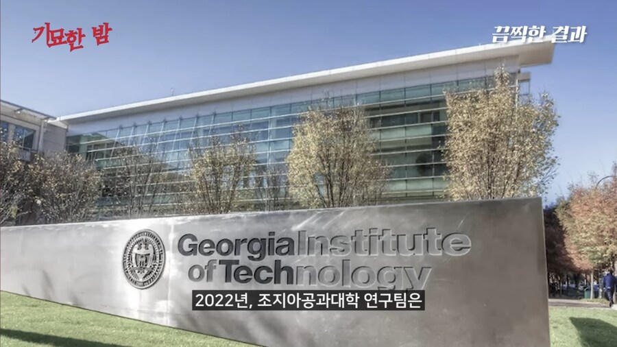 전세계인의 지능을 떨어뜨렸다는 물건_7.jpg