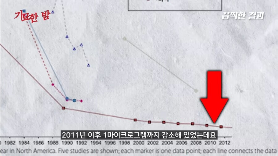 전세계인의 지능을 떨어뜨렸다는 물건_10.jpg