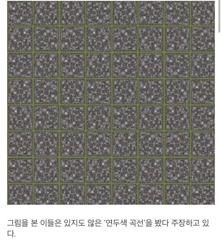 뇌를 농락하는 그림.jpg_1.jpg