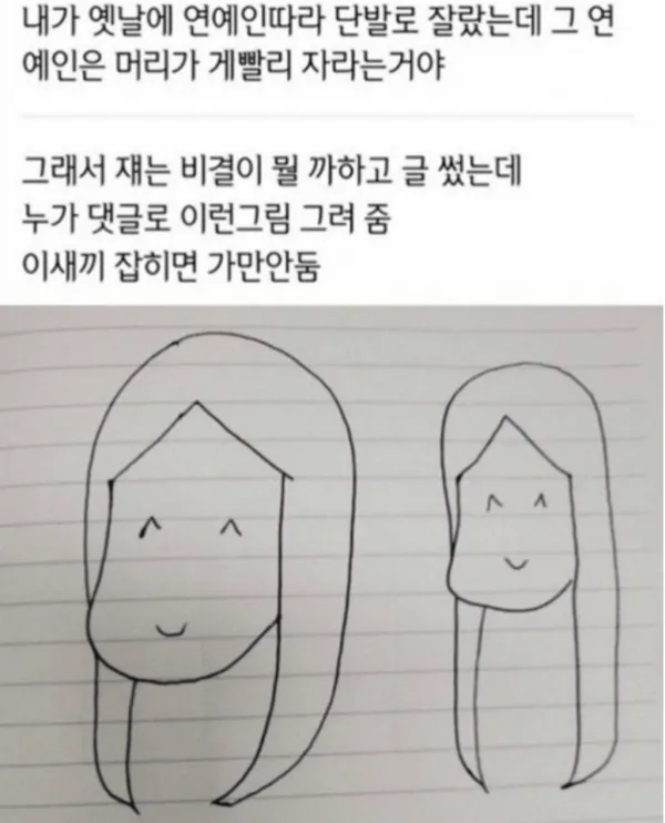 ? : 연예인들 머리 빨리 자라는 비결이 뭐지?_1.webp