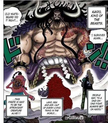 간지 하나는 무조건 보장된다는 언더독 구도.jpg_1.jpg