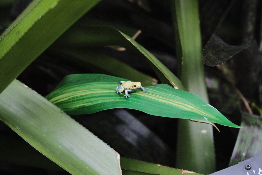 카제나) 아니 진짜로 “공식이 뭘 알아!!!” 였네…_13.jpg
