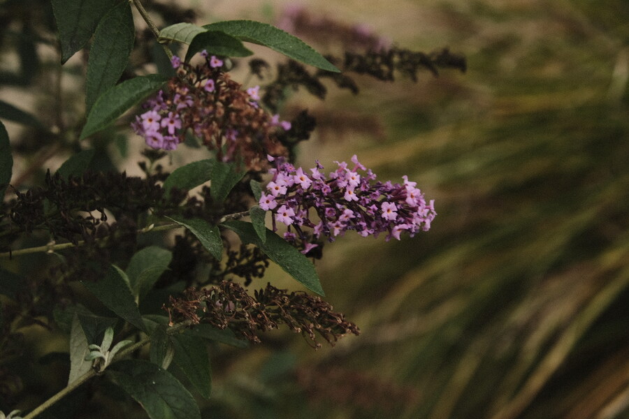 카제나) 아니 진짜로 “공식이 뭘 알아!!!” 였네…_6.jpg