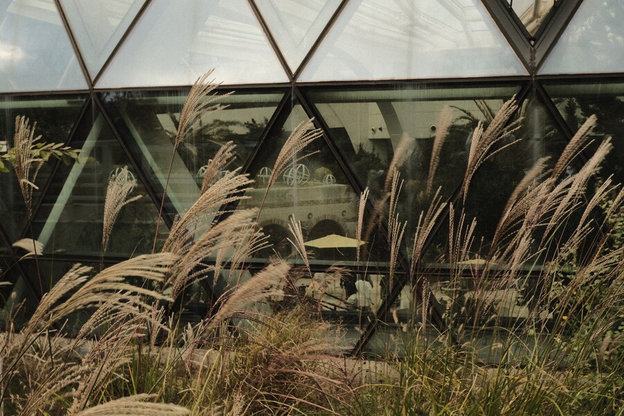 카제나) 아니 진짜로 “공식이 뭘 알아!!!” 였네…_9.jpg