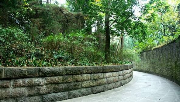 롤드컵 결승이 열리는 청두에 있는것.jpg_4.jpg