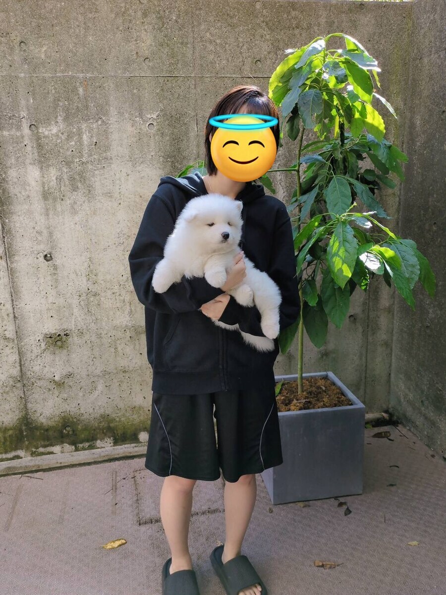 사모펀드의 진화 과정.jpg_1.jpg